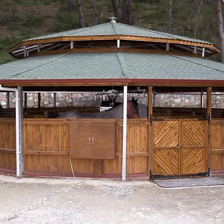 Padok Premium & Stables Gokova