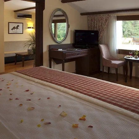 Padok Premium & Stables فندق 4*