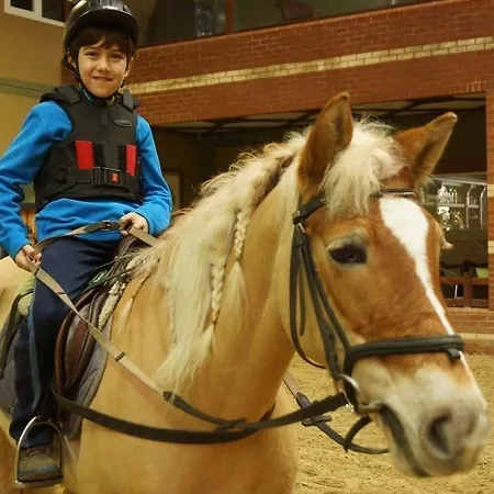 فندق Padok Premium & Stables 4*