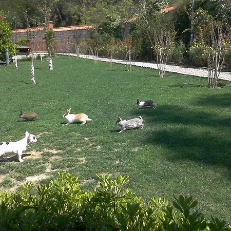 Padok Premium & Stables Hotel Gökova