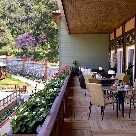 Padok Premium & Stables فندق