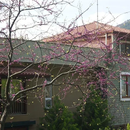 Padok Premium & Stables 4*