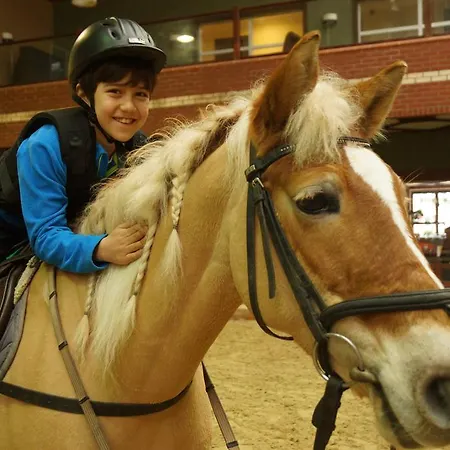 Padok Premium & Stables فندق 4*