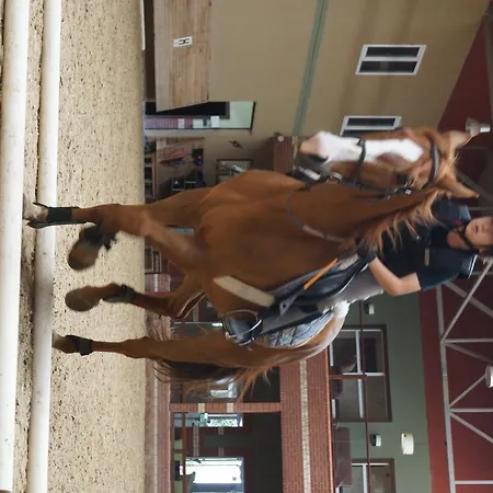 Padok Premium & Stables Gökova