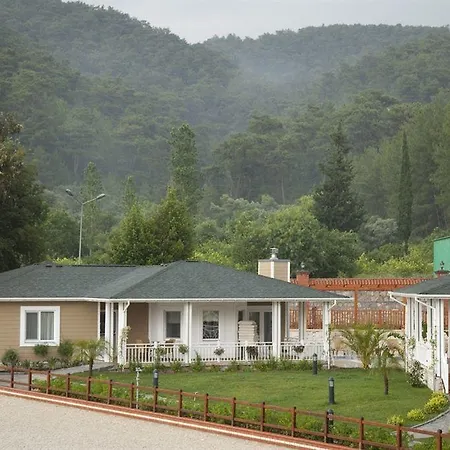 Padok Premium & Stables 4* Gokova