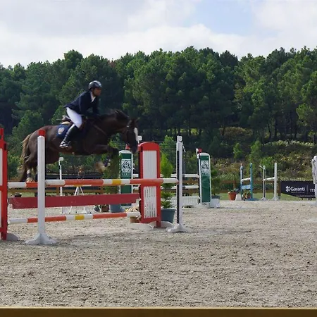 Padok Premium & Stables 4* Gokova