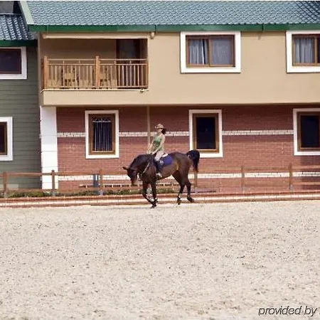 Padok Premium & Stables 4* Gökova
