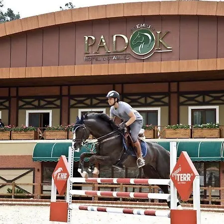 Padok Premium & Stables