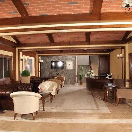 Padok Premium & Stables