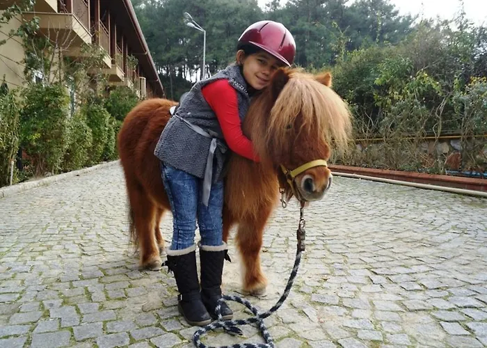 Padok Premium & Stables מלון 4*