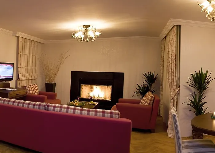 Padok Premium & Stables