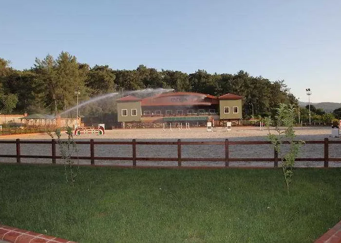 Padok Premium & Stables מלון