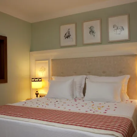 Padok Premium Hotel&stables 4*