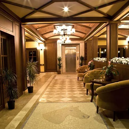 Padok Premium Hotel&stables Hotel