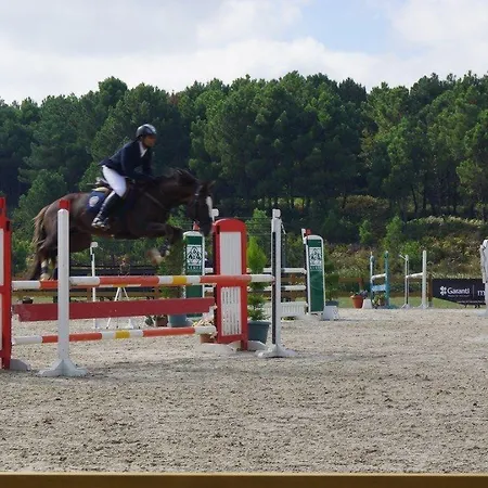 Padok Premium Hotel&stables Hotel