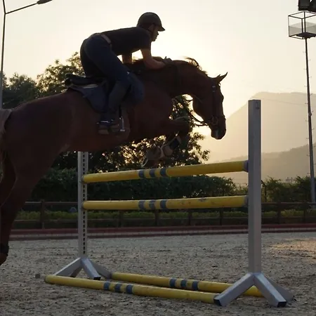 Padok Premium Hotel&stables 4*