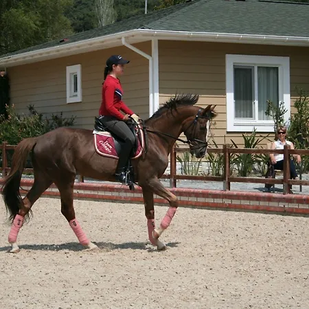 Padok Premium Hotel&stables Hotel Gökova