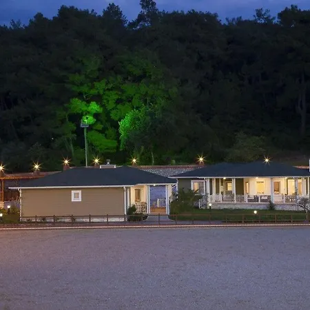 Padok Premium Hotel&stables Hotel