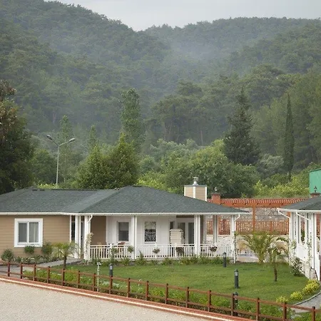 Padok Premium Hotel&stables Hotel