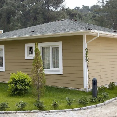 Padok Premium Hotel&stables