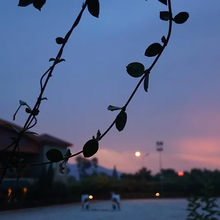 Padok Premium Hotel&stables Gökova