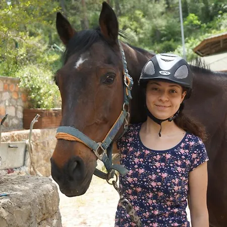 Ξενοδοχείο Padok Premium & Stables 4*