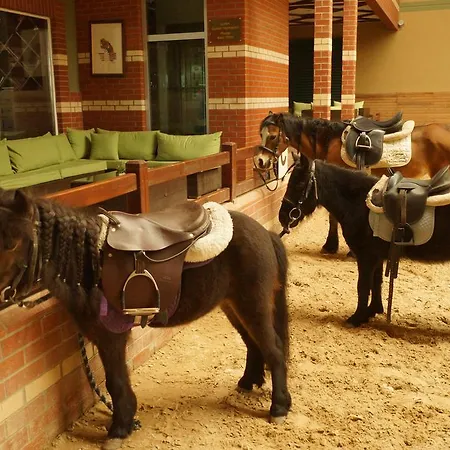 Hotel Padok Premium Hotel&stables 4*