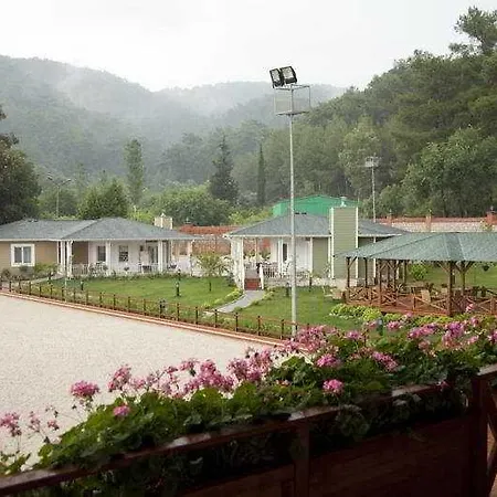 Padok Premium Hotel&stables Hotel Gökova