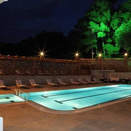 Padok Premium Hotel&stables 4*