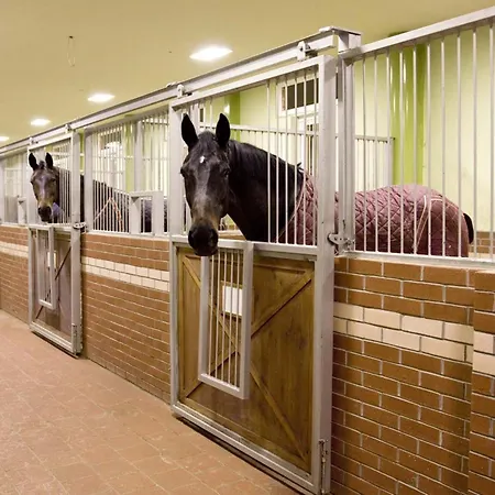 Padok Premium Hotel&stables 4*