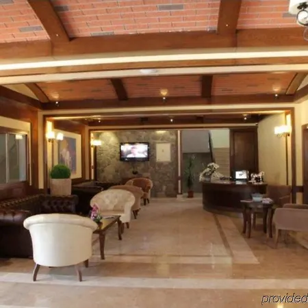 Padok Premium Hotel&stables Hotel