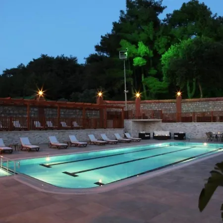 Padok Premium Hotel&stables Hotel