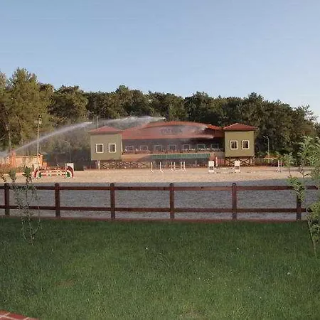 Padok Premium Hotel&stables Hotel