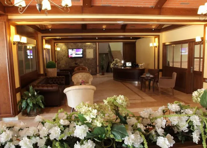 Hotel Padok Premium & Stables