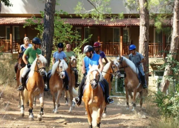 Hotel Padok Premium & Stables 4*