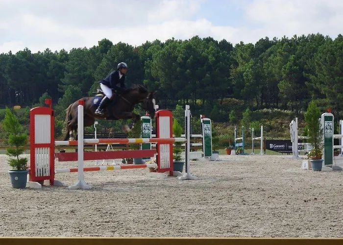 Padok Premium & Stables Hotel