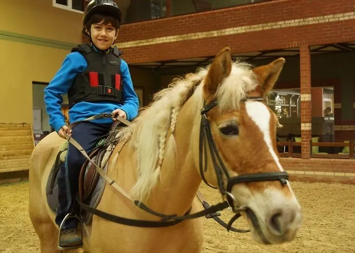 Hotel Padok Premium & Stables 4*