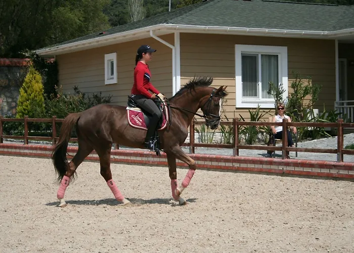 Padok Premium & Stables Hotel Gökova
