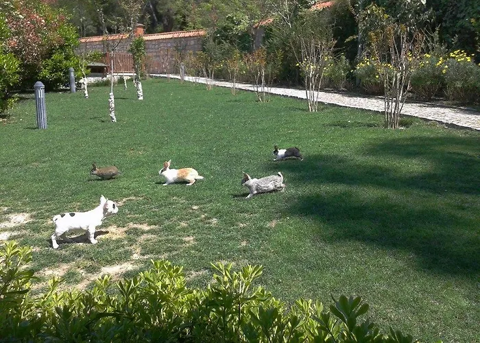 Padok Premium & Stables Hotel Gökova