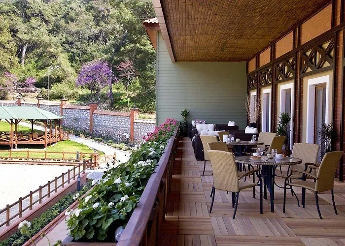 Padok Premium & Stables Hotel