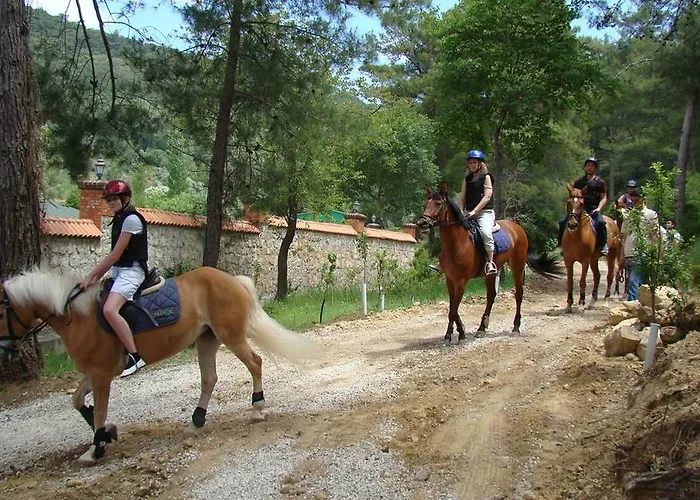 Padok Premium & Stables Hotel 4*