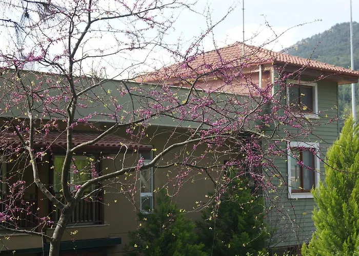 Padok Premium & Stables 4*