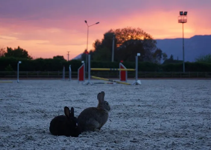Hotel Padok Premium & Stables Gökova