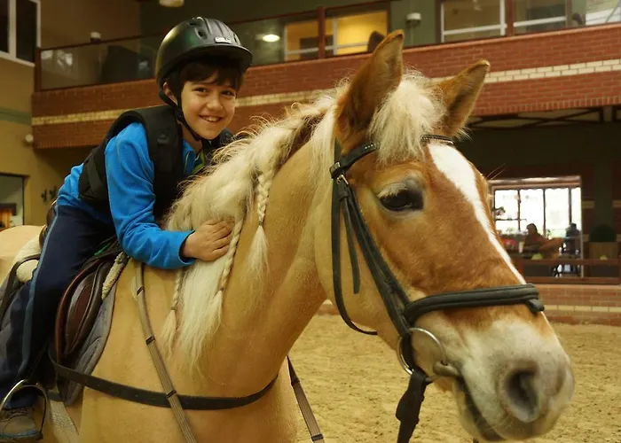 Padok Premium & Stables Hotel 4*