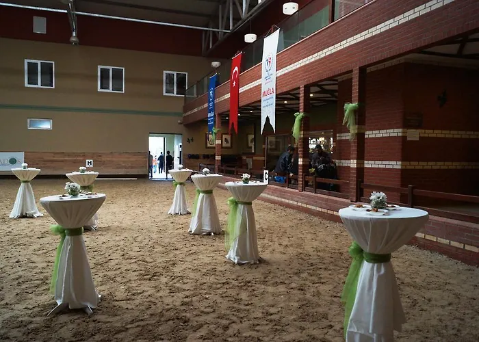 Hotel Padok Premium & Stables 4*