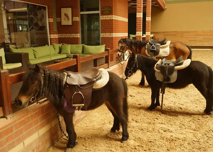 Hotel Padok Premium & Stables 4*