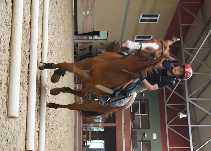 Padok Premium & Stables Gökova